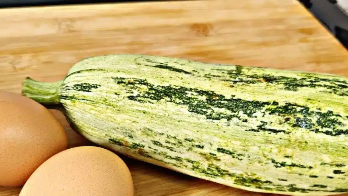 Receita Fácil Abobrinha Gostosa e Prática Que Fica Pronta em Minutos!
